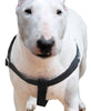 Cotton Web Adjustable Dog Step-in Harness 4 Sizes Black