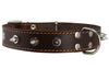 Real Leather Brown Spiked Dog Collar Spikes, 1.25" Wide. Fits 15.5"-20" Neck, Medium Breeds