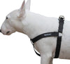Cotton Web Adjustable Dog Step-in Harness 4 Sizes Black