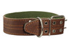 Genuine Leather Dog Collar, Padded, Brown 1.75" Wide. Fits 23"-27" neck size Great Dane Newfoundland