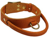 Genuine Leather Dog Collar, Rolled Leather Handle Tan