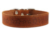 Genuine Leather Dog Collar Stars Pattern Brown 4 Sizes