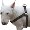 Cotton Web Adjustable Dog Step-in Harness 4 Sizes Brown