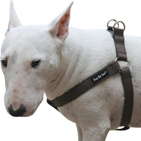 Cotton Web Adjustable Dog Step-in Harness 4 Sizes Brown