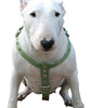 Cotton Web Dog Harness Large. Fits Girth 26"-31". 1" Wide Straps, Amstaff, Boxer, Pitbull