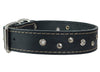 Genuine Leather Dog Collar Studded 1.5" Wide, 16.5"-20" Neck