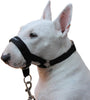 Dog Head Collar Halter Black 6 Sizes