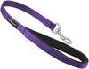 Short Dog Leash Padded Handle Wide Nylon Traffic Lead 22" Long Purple