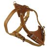 Genuine Leather Dog Harness, 16.5"-20" Chest size, 1/2" Wide, Boston Terrier