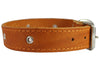 Genuine Leather Studded Dog Collar, 1.25" Wide. Fits 15"-18.5" Neck. Amstaff