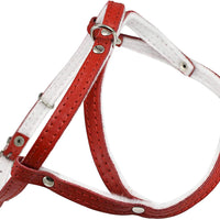 Leather Dog Harness Padded Red