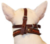 Leather Mesh Basket Secure Dog Muzzle #143 Brown (Circumference 11.5", Snout Length 4.25")