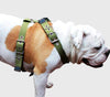 Cotton Web Dog Harness Large. Fits Girth 29"-34.5". 1.5" Wide Straps, Rottweiler, Doberman, Boxer