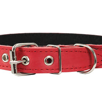Genuine Leather Dog Collar, Cotton Padded, 1" Wide.