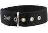 Bolted Heavy Duty Extra Wide Triple Layer Dog Collar for Medium to Large 15"-19" Neck 1.6" Wide