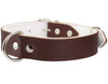 Dogs My Love Genuine Leather Felt Padded Dog Collar Brown