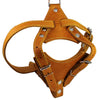 Real Leather Dog Harness, 24.5"-28" Chest size, 3/4" Wide, Brittany Spaniel