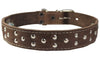 Training Pinch and Genuine Leather Studded Dog Collar Fits 18"-22" Neck Brown 25.5"x1.5" Wide