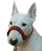 Dog Head Collar Halter Red 6 Sizes