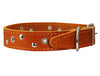 Genuine Leather Studded Dog Collar, 1.25" Wide. Fits 16"-19" Neck