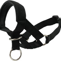 Dog Head Collar Halter Black 6 Sizes