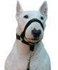 Dog Head Collar Halter Black 6 Sizes