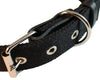 Cotton Web Dog Collar 3/4" Wide. Fits 13"-17" Neck. Boston Terrier, Spaniel