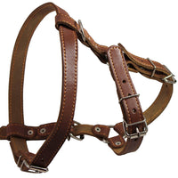 Genuine Leather Dog Walking Harness Medium Brown, 21" - 24" Chest