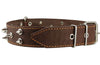 Real Leather Brown Spiked Dog Collar, 1.6" Wide. Fits 19"-23" Neck Large Mastiff, American Bulldog
