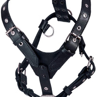 Genuine Leather Dog Harness Medium to Large 25"-32" Chest, 1" Wide Adjustable Straps