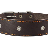 Genuine Leather Studded Dog Collar, Brown, 1.75" Wide. Fits 18.5"-22" Neck.For Large Breeds