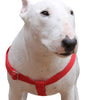 Cotton Web Adjustable Dog Step-in Harness 4 Sizes Red
