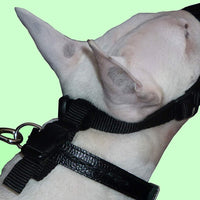Adjustable Nylon Dog Muzzle No Bite 10"-13.3"Size Large Black Bullterrier, Doberman, German Shepherd