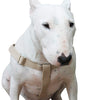 Cotton Web Adjustable Dog Step-in Harness 4 Sizes Beige