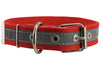 Cotton Web/Leather Reflective Dog Collar 20" Long 1" Wide Fits 14"-18" Neck, Boxer, Retriever