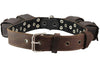 4lbs Genuine Leather Weighted Dog Collar 1.5" wide. Exercise and Training. Fits 19"-24" Neck size