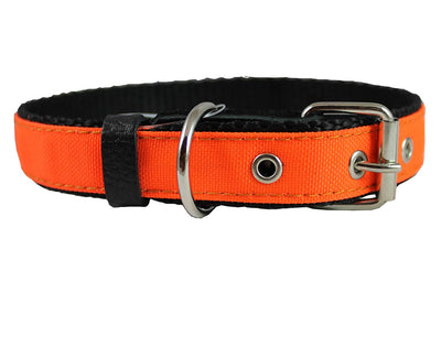 Double Thick Nylon Dog Collar Leather Enforced Metal Buckle Sized to Fit 14