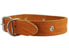 Genuine Leather Studded Dog Collar, 1.25" Wide. Fits 15"-18.5" Neck. Amstaff