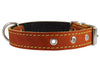 Real Leather Dog Collar 11"-15" Neck Size, 3/4" Wide, Medium Breeds