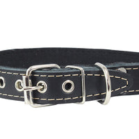 Genuine Leather Dog Collar, Cotton Padded, 1" Wide.