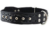 Genuine Leather Braided Studded Dog Collar, Black 1.6" Wide. Fits 19"-24" Neck, Large