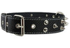 Dogs My Love Real Leather Black Spiked Dog Collar Spikes 1.6" Wide. Fits 19"-23.5" Neck Large Breeds