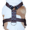 Genuine Leather Dog Harness X-Large 33"-40" Chest, 1.3" Wide Adjustable Straps