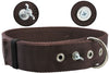 Bolted Heavy Duty Extra Wide Triple Layer Dog Collar for Medium to Large 15"-19" Neck 1.6" Wide