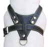 Black Genuine Leather Dog Harness, Medium. 25.5"-29" Chest, 1" Wide Adjustable Straps