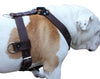Genuine Leather Dog Harness X-Large 33"-40" Chest, 1.3" Wide Adjustable Straps