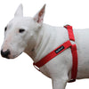 Cotton Web Adjustable Dog Step-in Harness 4 Sizes Red