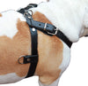 Genuine Black Leather Dog Pulling Walking Harness Large. 30"-34" Chest 1" Wide Straps, Padded