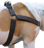 Cotton Web Adjustable Dog Step-in Harness 4 Sizes Brown