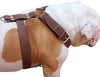 Brown Genuine Leather Dog Harness, Xlarge. 33"-37" Chest, 1.5" Wide Straps